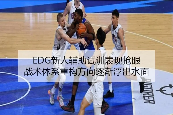 EDG新人辅助试训表现抢眼 战术体系重构方向逐渐浮出水面